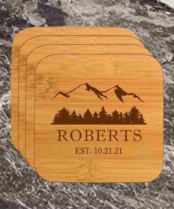 Coasters 311
