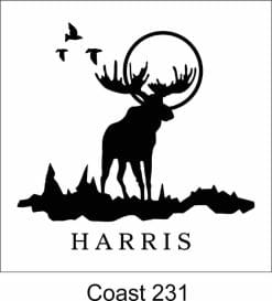 Alternative view of Coasters 231